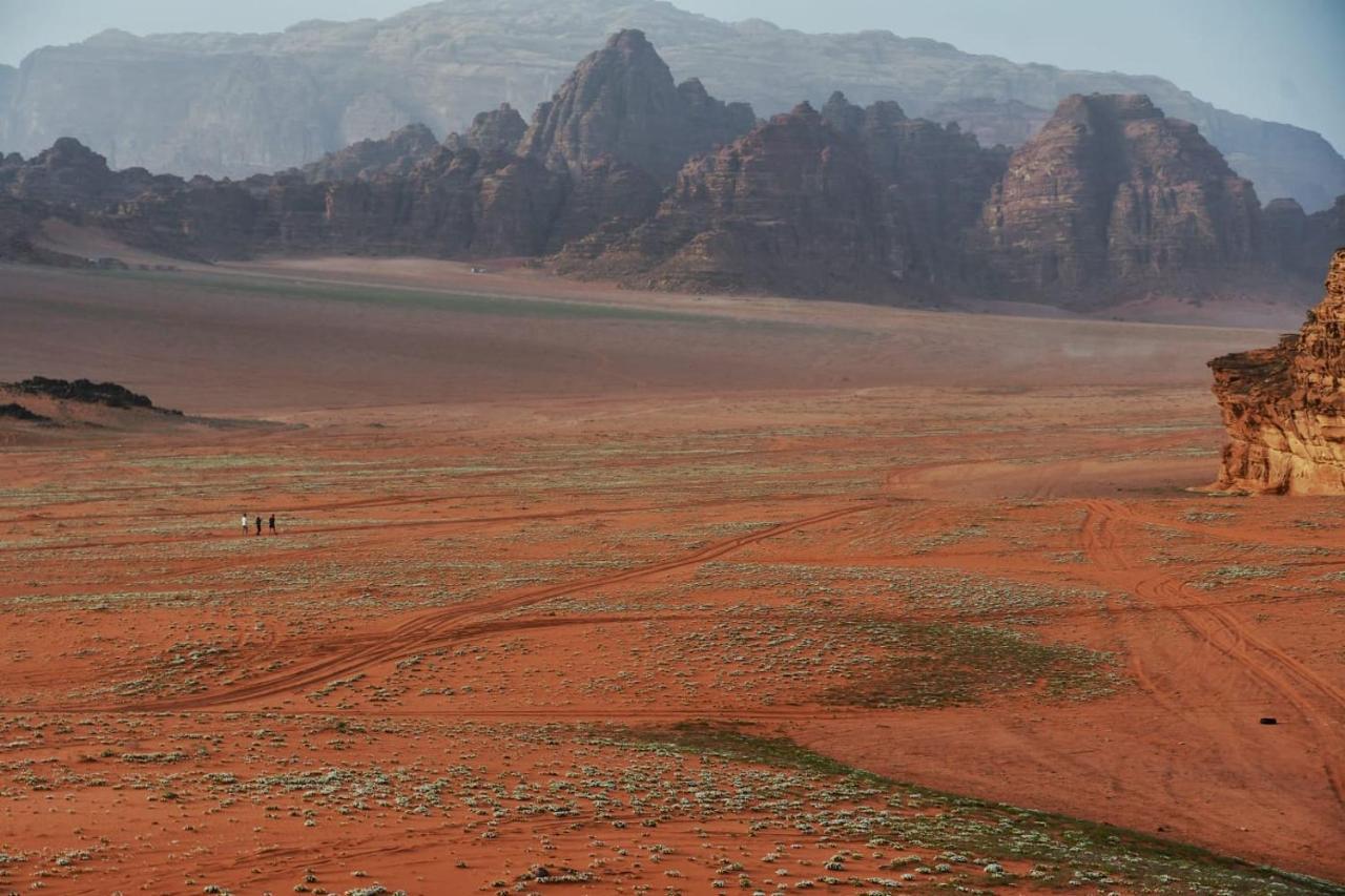 Art Camp Wadi Rum Exterior foto